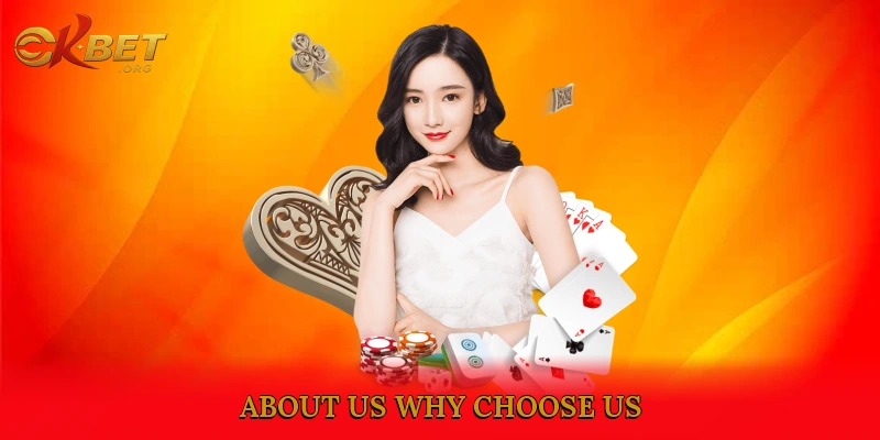 About Us: Why Choose Us