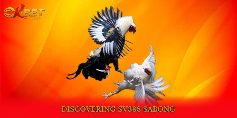 Discovering SV388 Sabong