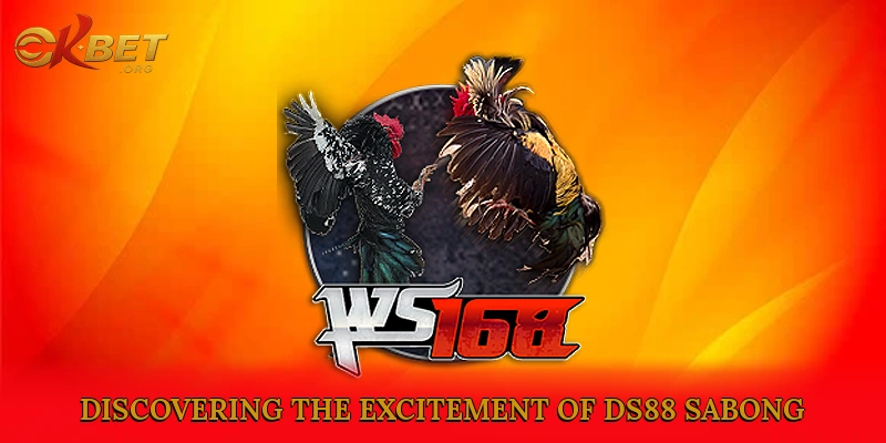 Discovering the Excitement of DS88 Sabong