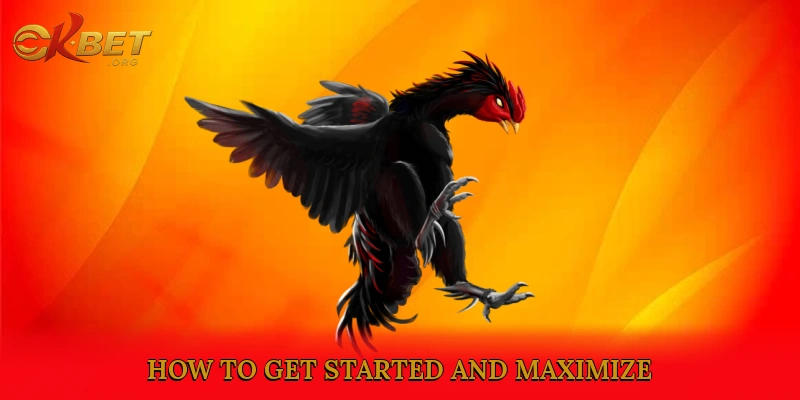 How to Get Started and Maximize Your Experience on WS168 Sabong
