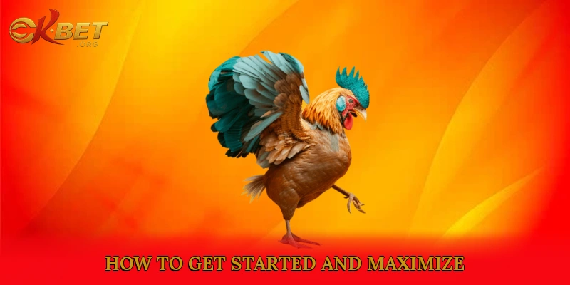 How to Get Started and Maximize Your SV388 Sabong Experience