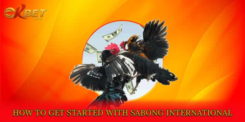 How to Get Started with Sabong International