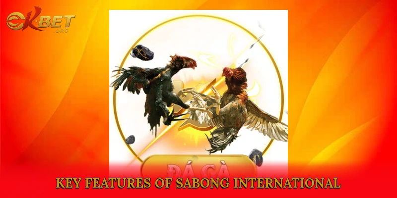 Key Features of Sabong International