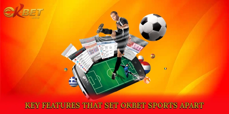 Key Features That Set Okbet Sports Apart