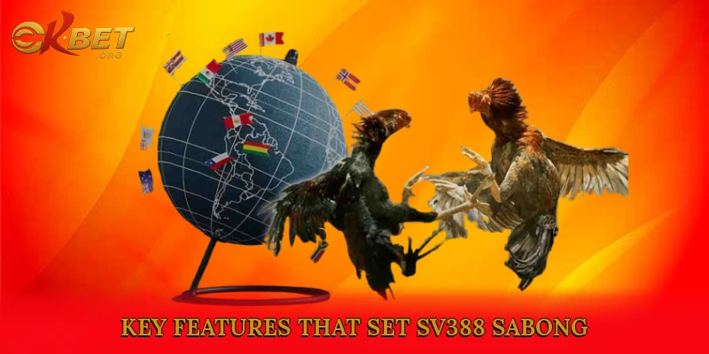 Key Features That Set SV388 Sabong Apart from the Competition