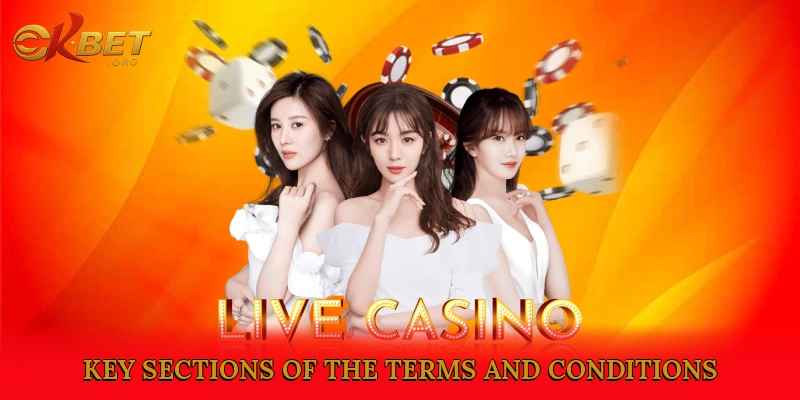 Exploring Key Sections of the Terms and Conditions