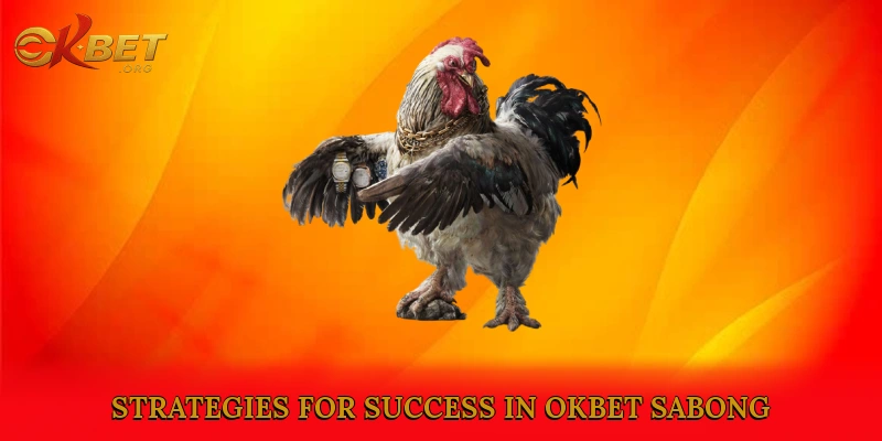 Advanced Tips and Strategies for Success in Okbet Sabong