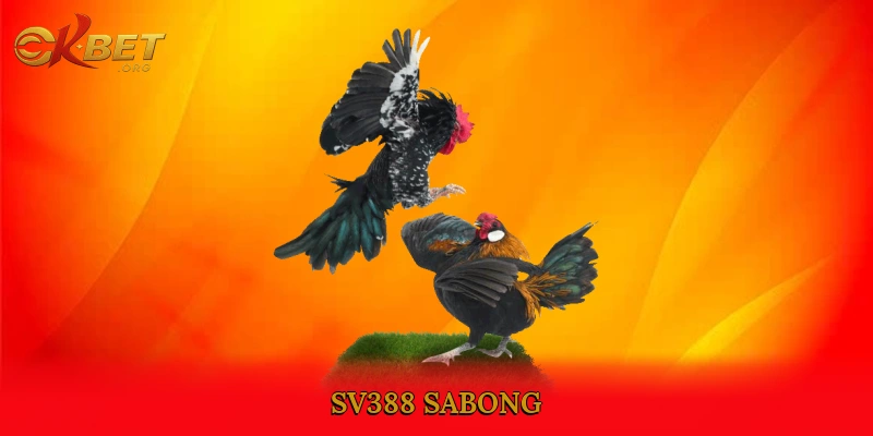 SV388 Sabong