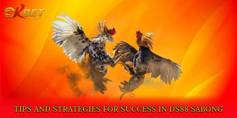 Tips and Strategies for Success in DS88 Sabong