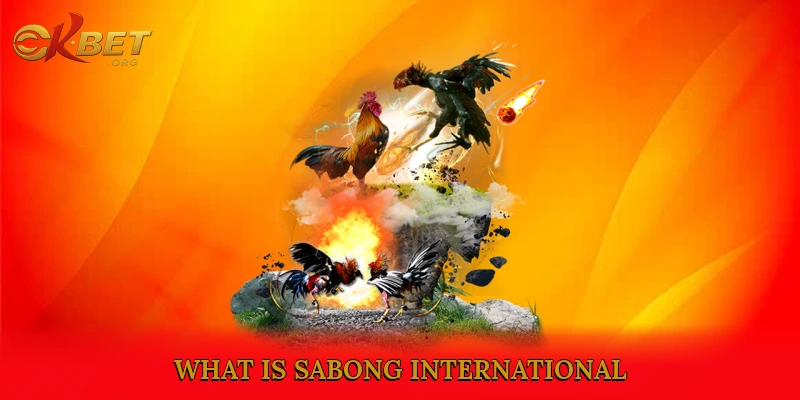 What is Sabong International?