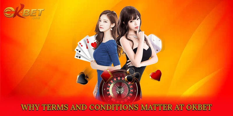 Why Terms and Conditions Matter at Okbet