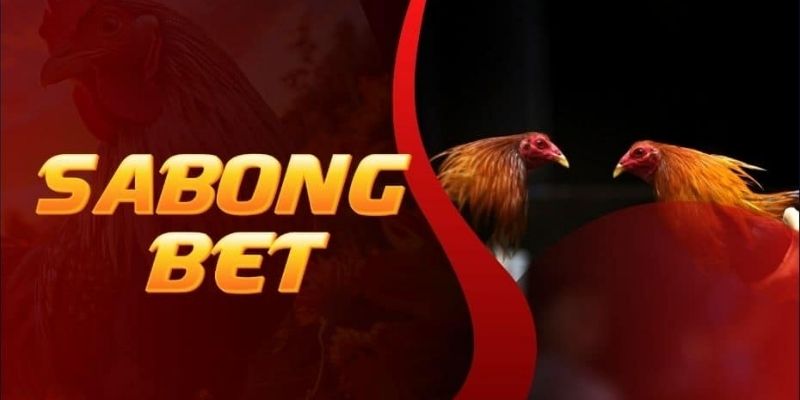 cockfighting-history-Early 